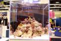 Interzoo 145
