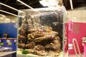 Interzoo 144