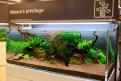 Interzoo 143