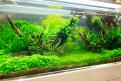 Interzoo 140
