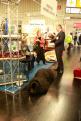 Interzoo 072