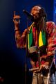 Israel Vibration