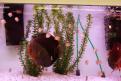 Interzoo 125