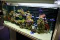 Interzoo 119