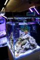 Interzoo 106
