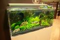 Interzoo 142