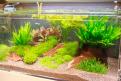 Interzoo 141