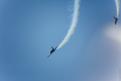 Sion AirShow 578