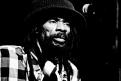 Israel Vibration