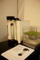 Interzoo 152