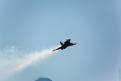 Sion AirShow 507