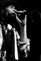 Israel Vibration
