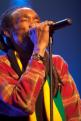 Israel Vibration