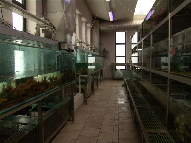 DSC02527