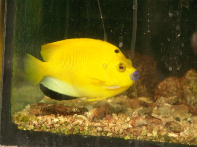 DSC02529