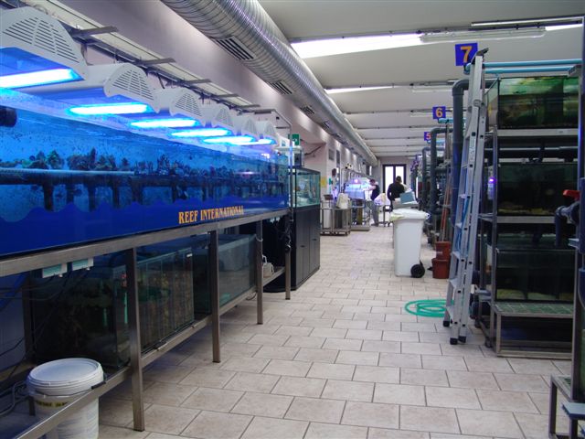 DSC02540