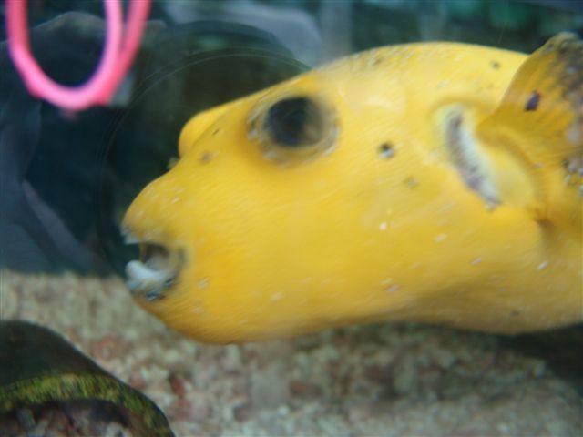 DSC02544