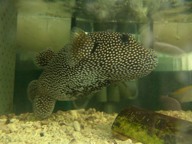 DSC02546