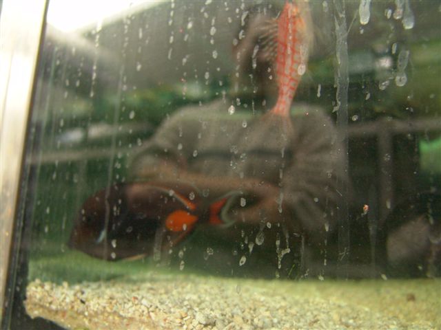 DSC02550