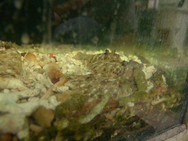 DSC02553