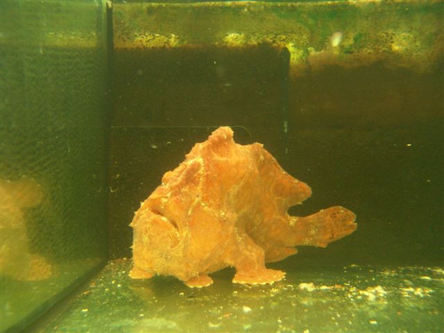 DSC02555