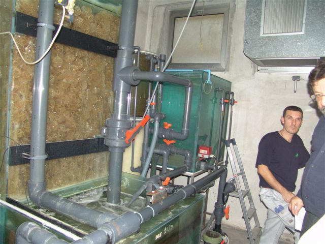 DSC02558