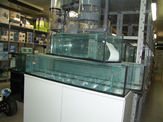 DSC02561