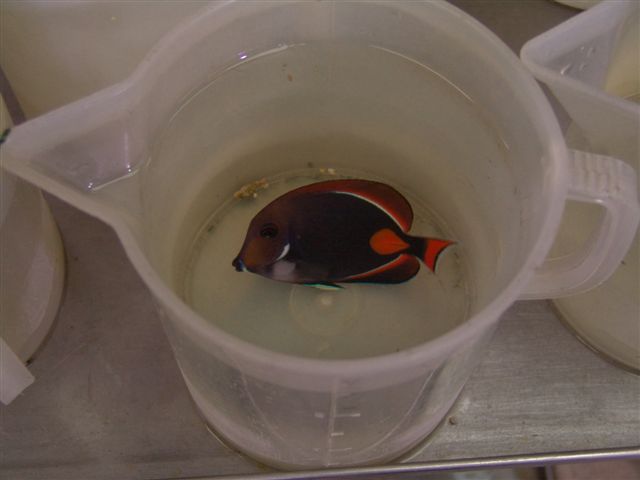 DSC02562