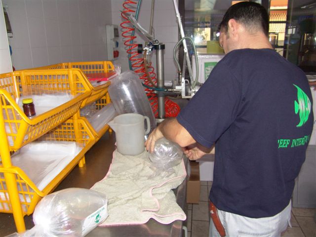 DSC02563