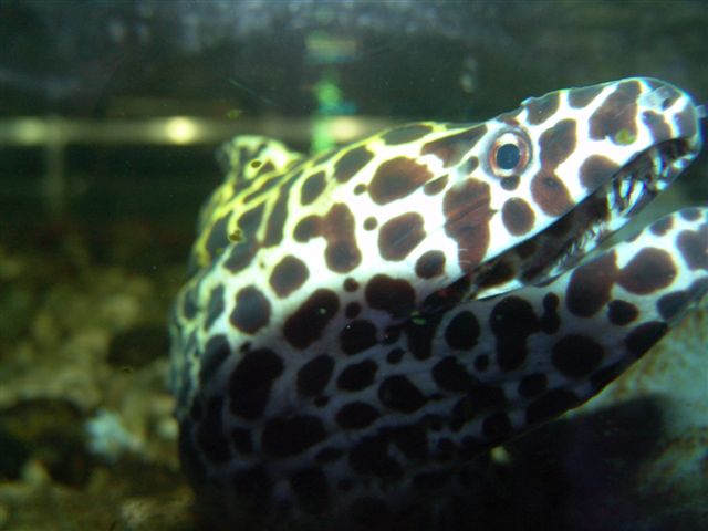 DSC02566