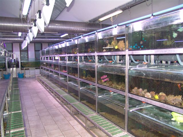 DSC02571
