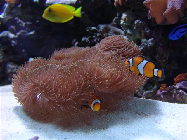 DSC02875