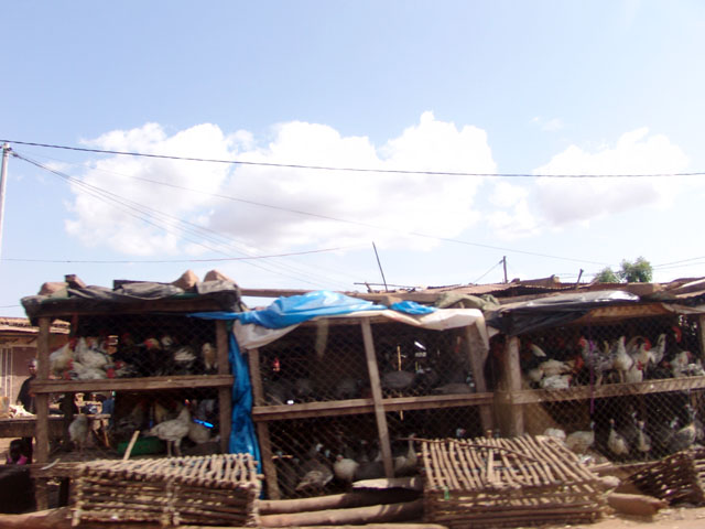 Bamako - Mali