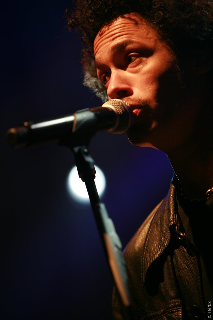 Eagle Eye Cherry 203