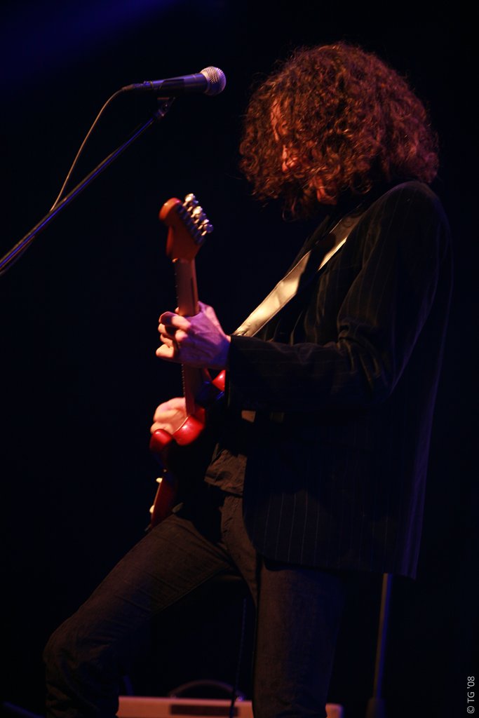 Eagle Eye Cherry 205