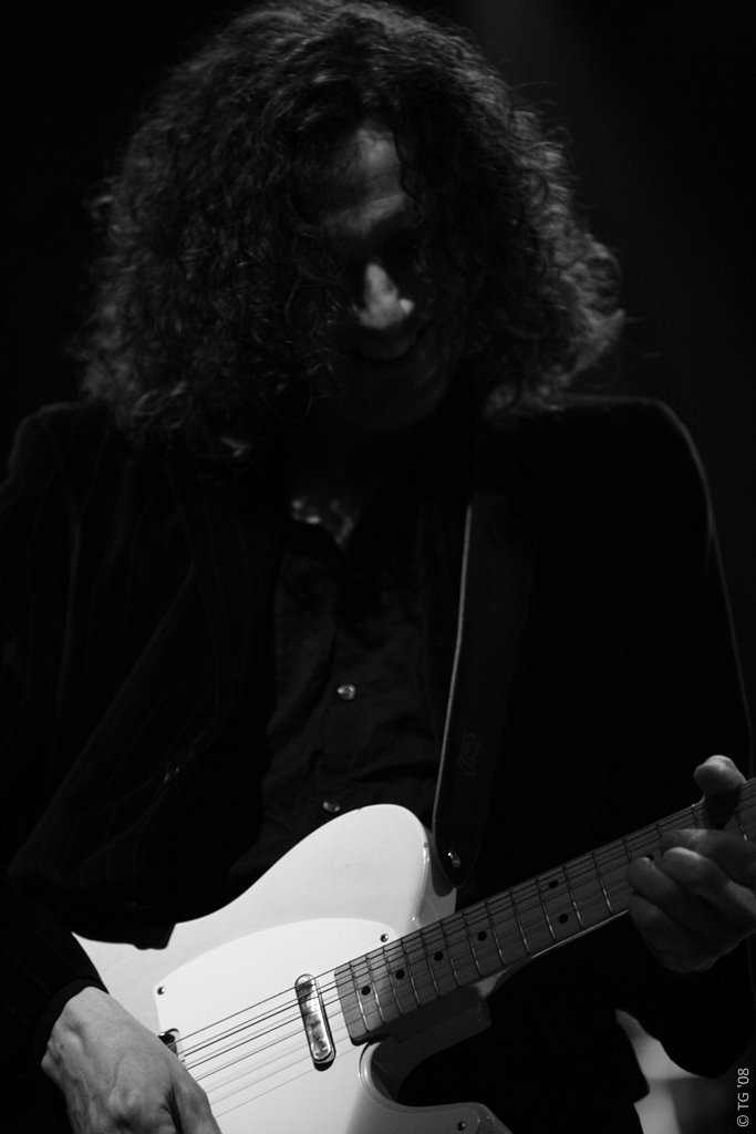 Eagle Eye Cherry 253