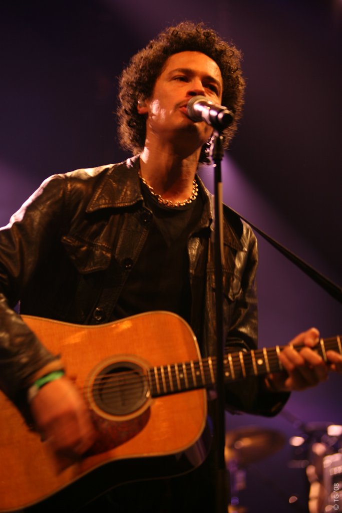 Eagle Eye Cherry 287