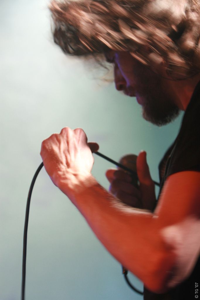 Birdpen 077
