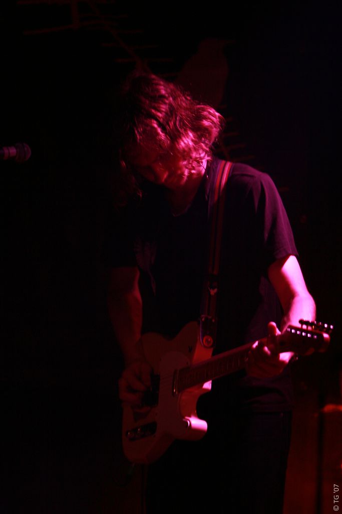 Birdpen 177