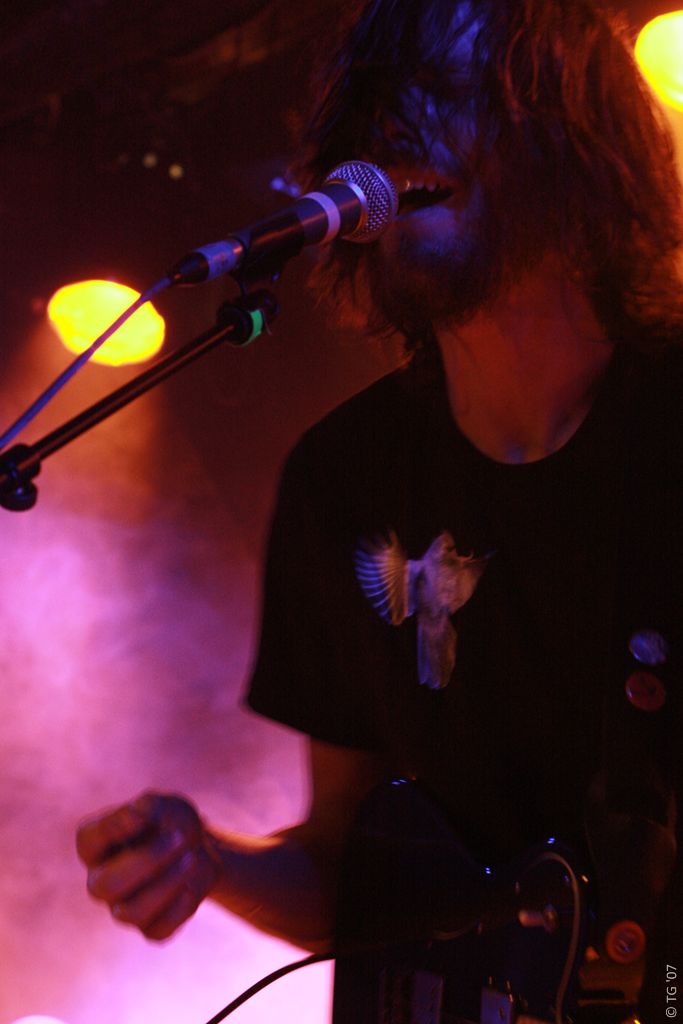 Birdpen 254