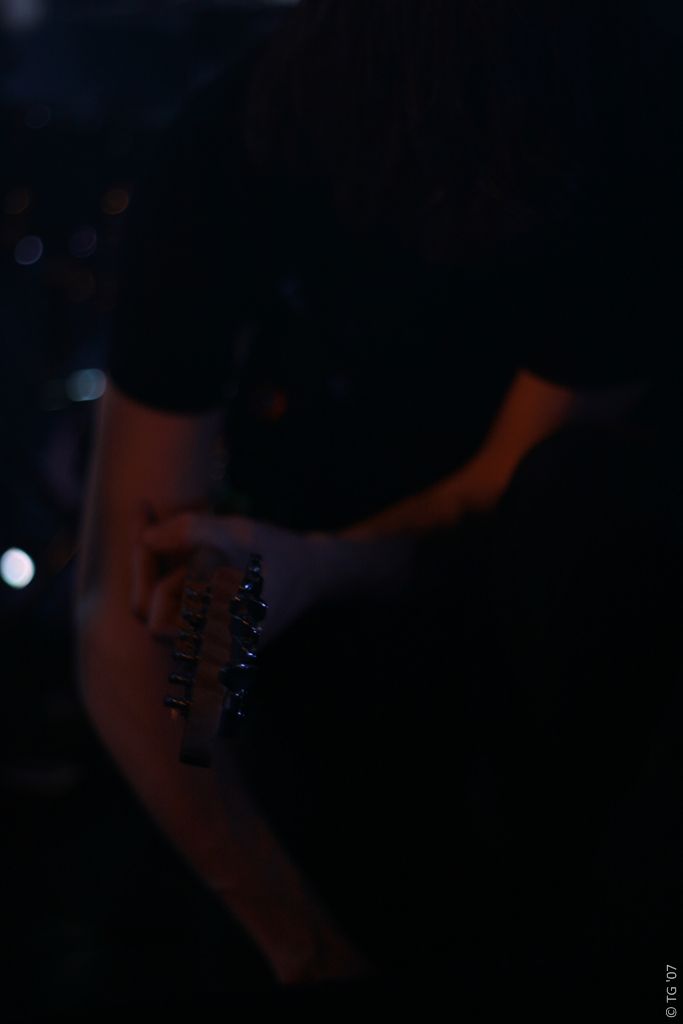 Birdpen 265