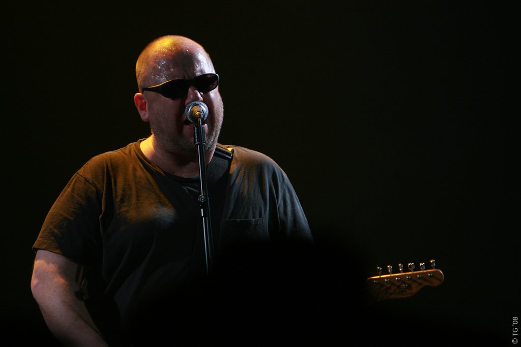 Frank Black 241