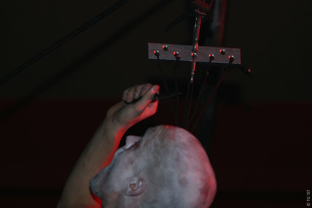 Skindrone 1696