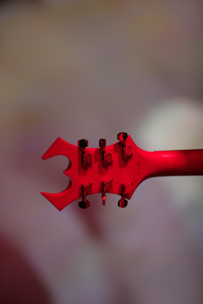 Skullflower