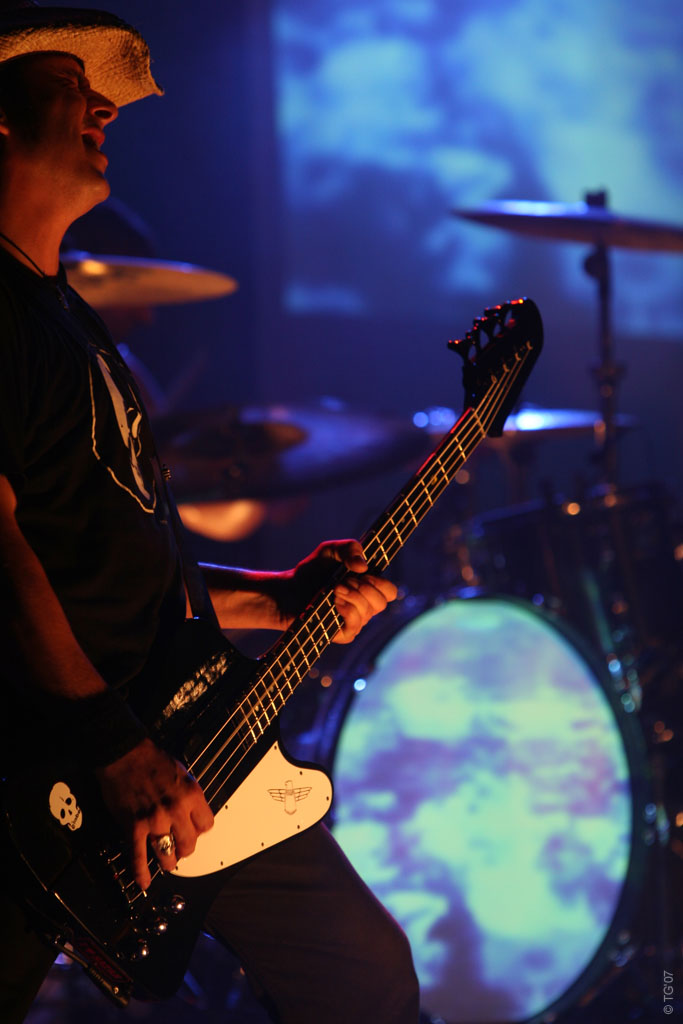 Monkey 3 (10)