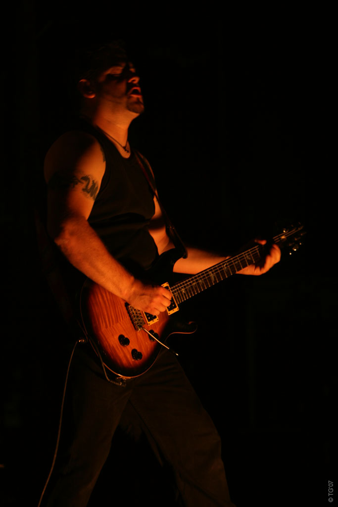 Monkey 3 (12)