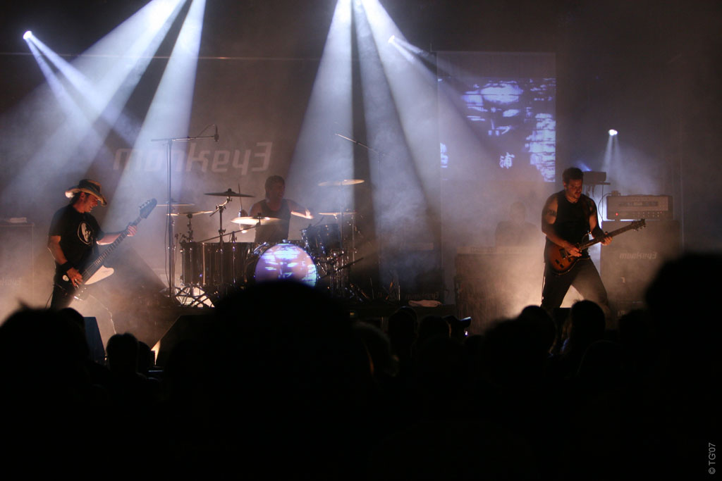 Monkey 3 (3)