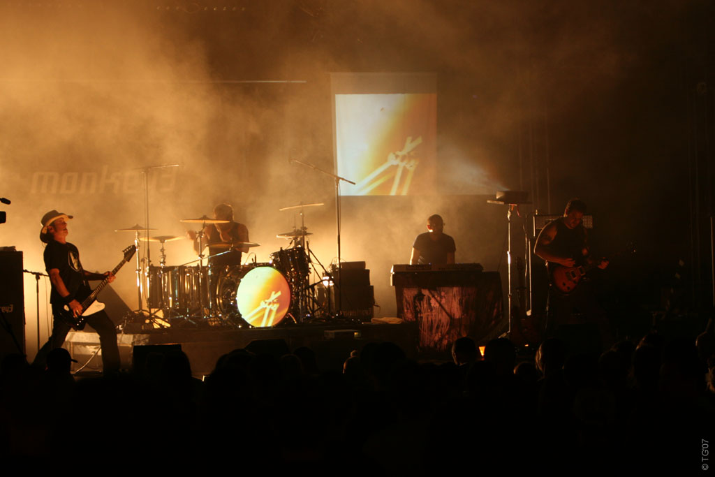 Monkey 3 (9)