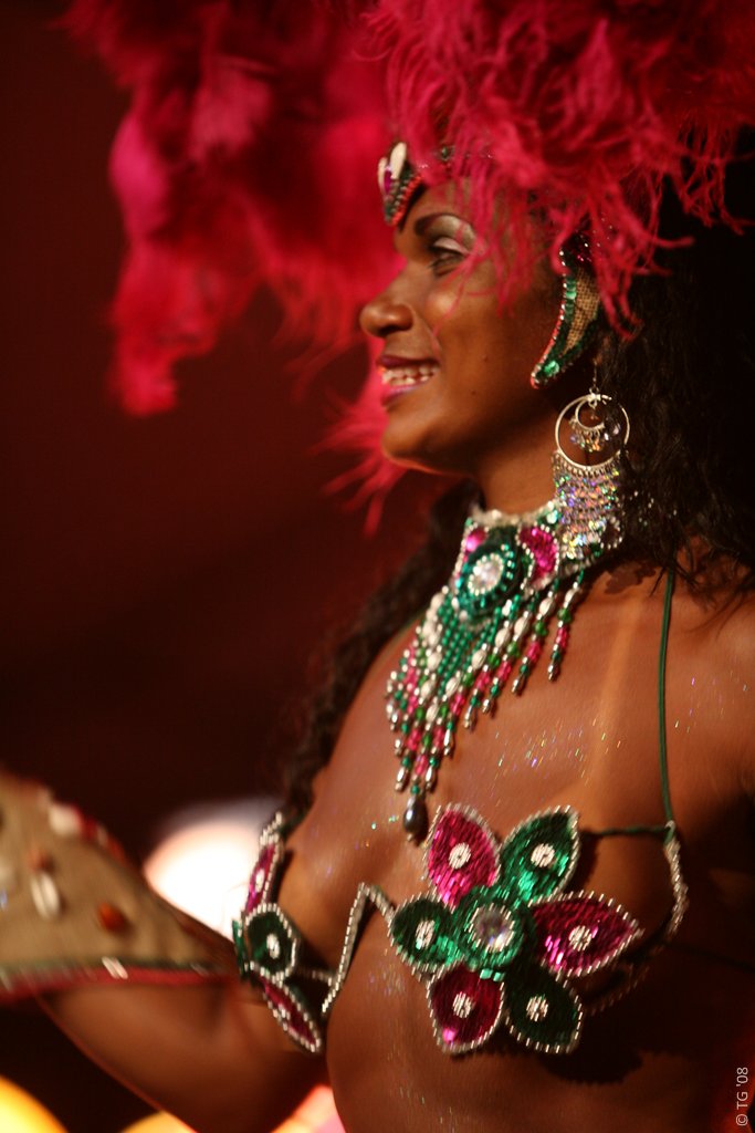 Carnaval Carioca 123