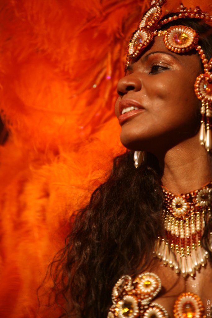 Carnaval Carioca 300